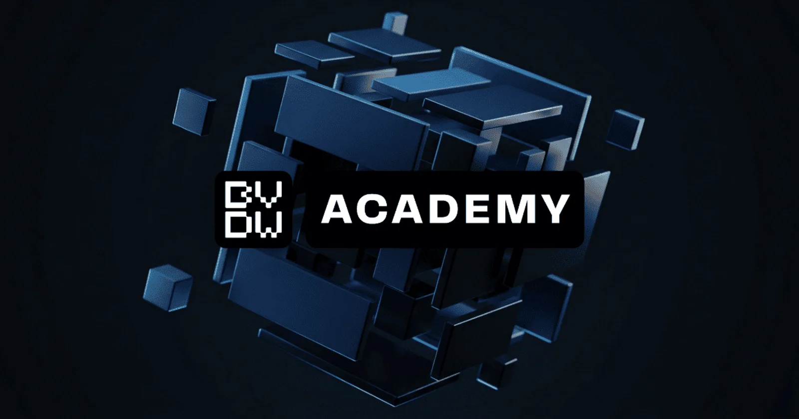 BVDW Academy
